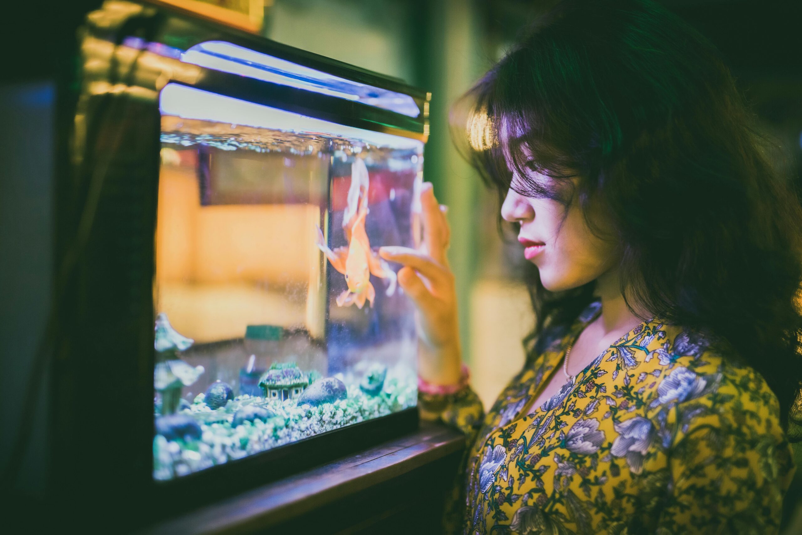 Photo by Huynh Van: https://www.pexels.com/photo/woman-in-black-and-yellow-floral-shirt-looking-at-glass-aquarium-9300576/